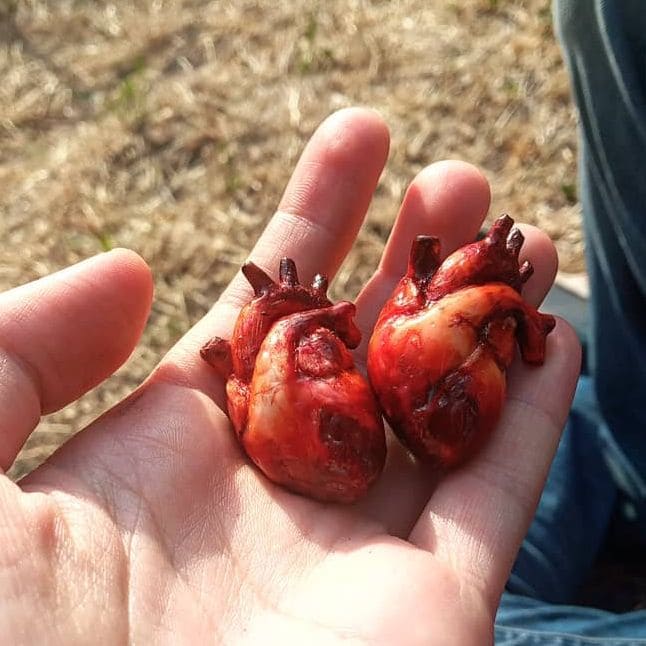 Анатомічне серце з полімерної глини. Червоне